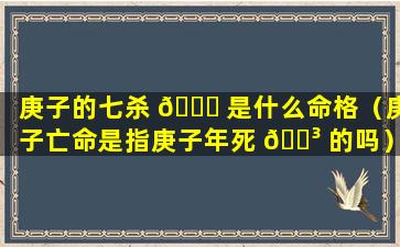 庚子的七杀 🐅 是什么命格（庚子亡命是指庚子年死 🐳 的吗）